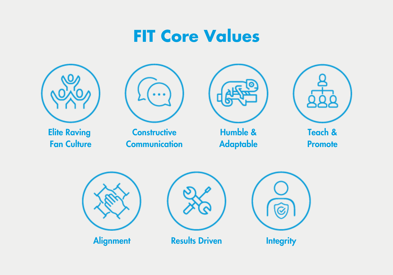 fit-core-values